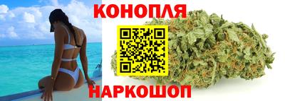 прущие грибы Севастополь