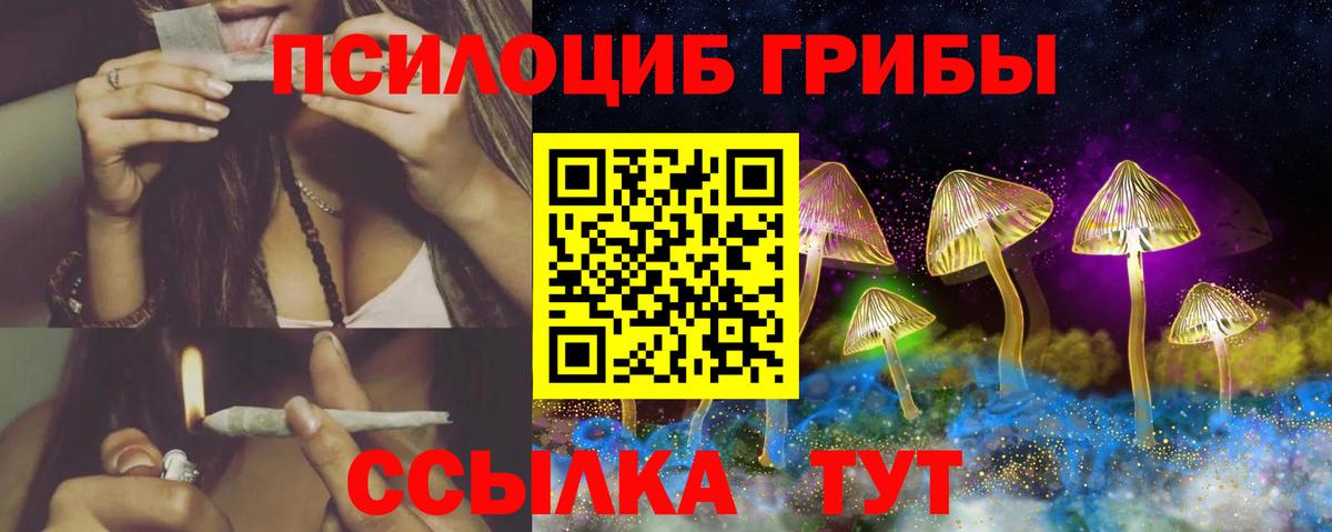 Галлюциногенные грибы Cubensis Уссурийск